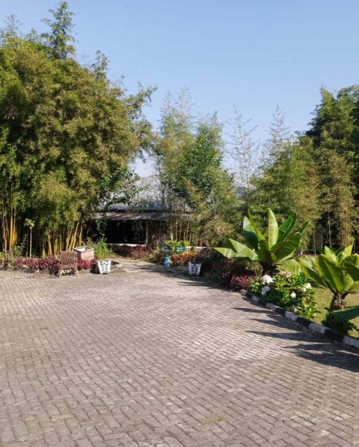 Le Bambou Gorilla Lodge Kinigi Dış mekan fotoğraf