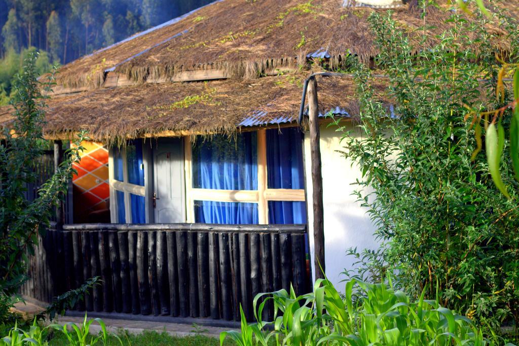 Le Bambou Gorilla Lodge Kinigi Oda fotoğraf