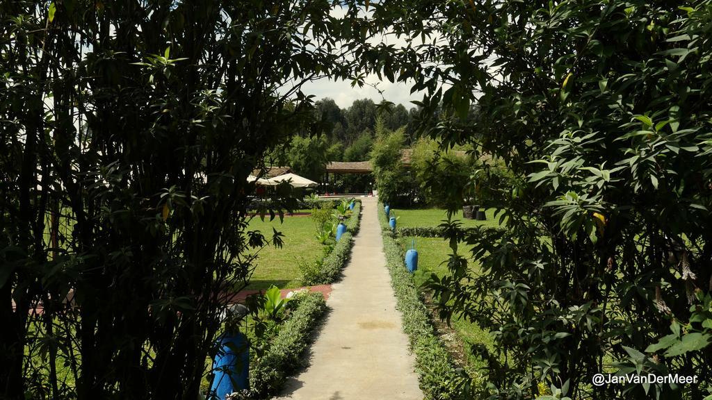 Le Bambou Gorilla Lodge Kinigi Dış mekan fotoğraf