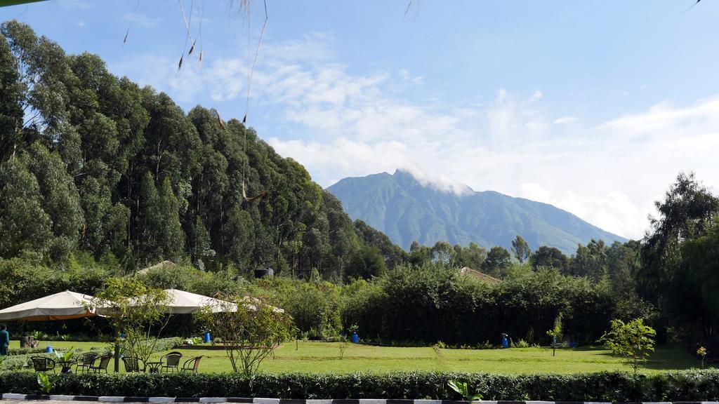 Le Bambou Gorilla Lodge Kinigi Dış mekan fotoğraf