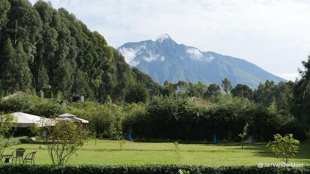 Le Bambou Gorilla Lodge Kinigi Dış mekan fotoğraf