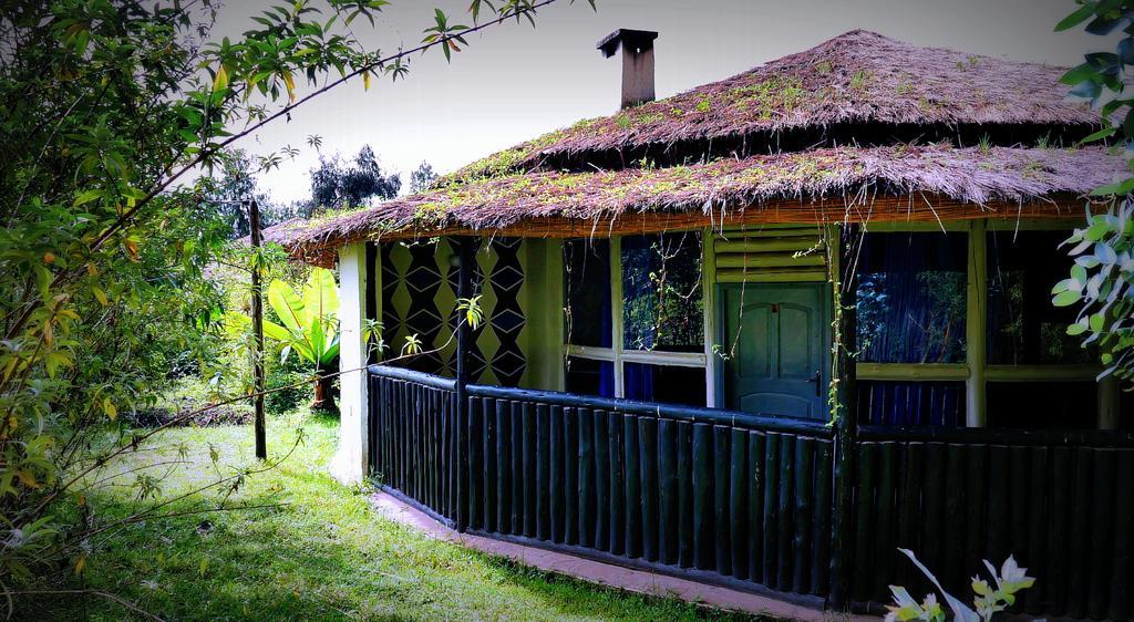 Le Bambou Gorilla Lodge Kinigi Dış mekan fotoğraf